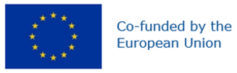 co funded horizontal selida